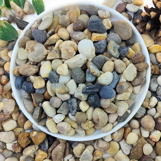 10lbs Natural River Rocks for Plants, 3/8" Aquarium Gravel Decorative Polished Mixed Pebbles for Fish Tank, Gardening, Flower Pots, Vase Fillers, Indoor Water Fountains, Landscaping-PawvioPets