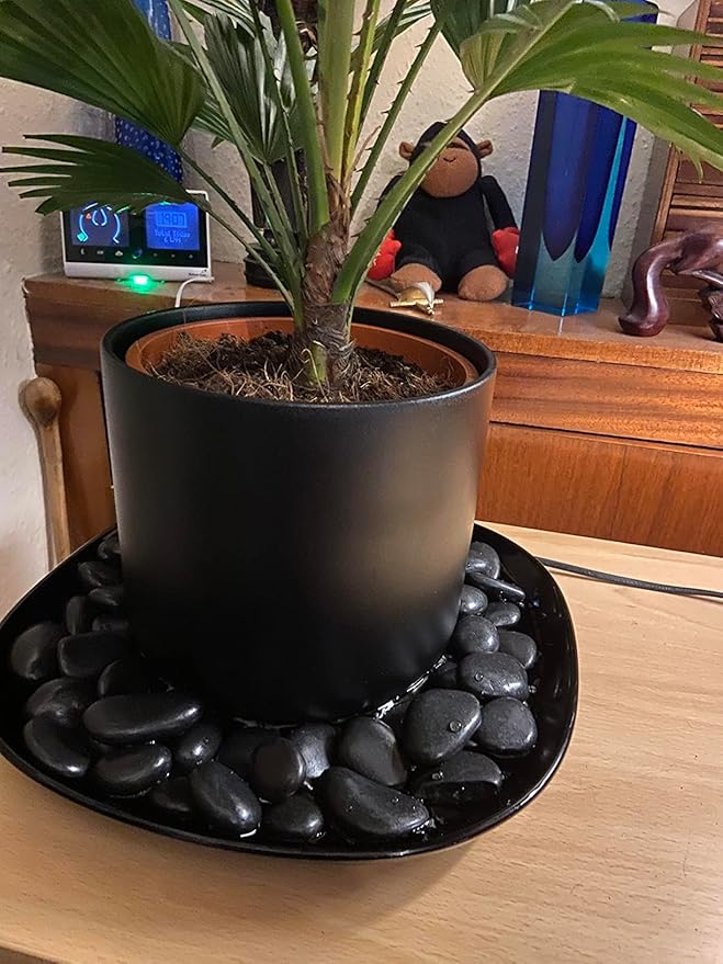 20 lbs Black Pebbles for Plants, 0.8-1.2 inch River Rocks for Landscaping, Decorative Stones for Vase Fillers, Fish Tank Gravel and Garden Rocks-PawvioPets