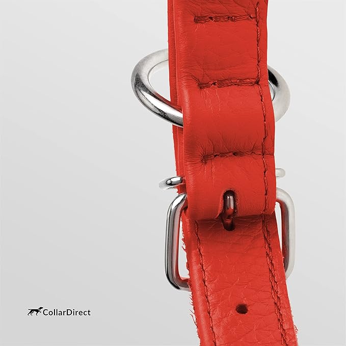 CollarDirect Rolled Leather Dog Collar, Soft Padded Round Puppy Collar, Handmade Genuine Leather Collar Dog Small Large Cat Collars 13 Colors (8-11 Inch, Red Textured)-PawvioPets