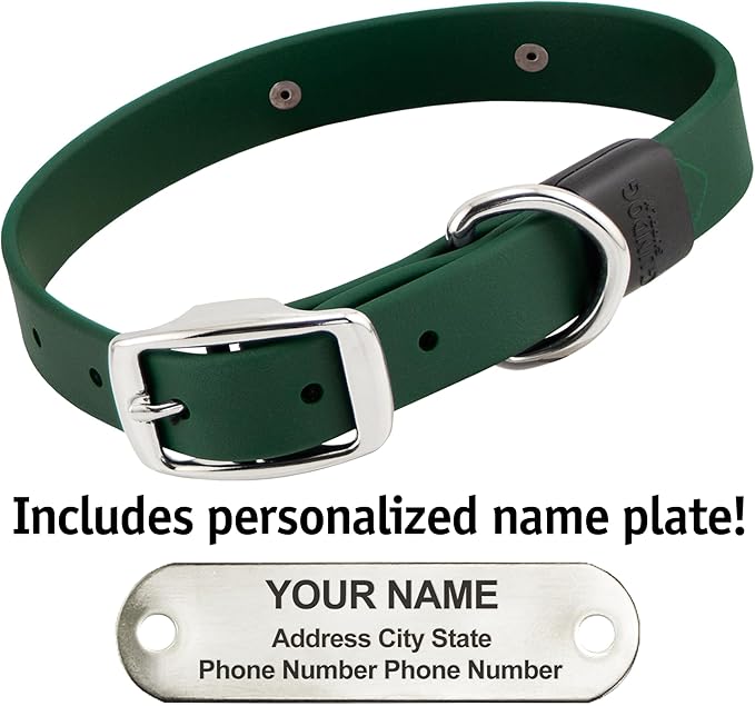 Biothane Custom Dog Collar – Waterproof, Stink-Proof Personalized Collar with Name & Phone Number – Durable, Many Sizes and Colors – Assembled in USA (Forest Green)-PawvioPets