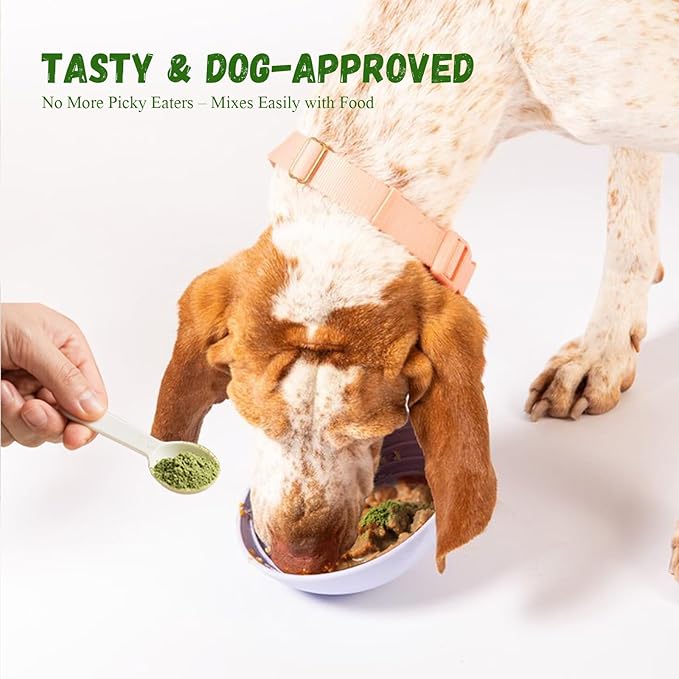 Dog Dental Care Powder - Plaque & Tartar Control with Natural Enzymes, Teeth Cleaning Powder for Dogs with Probiotic, Bad Breath Treatment for Small Medium Large Dogs-PawvioPets