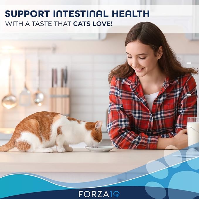 Forza10 Active Intestinal Support Diet Dry Cat Food for Adult Cats, Cat Food Dry for Upset Stomach, Diarrhea and Intestinal Disorders, Wild Caught Anchovy Flavor, 4 Pound Bag-PawvioPets