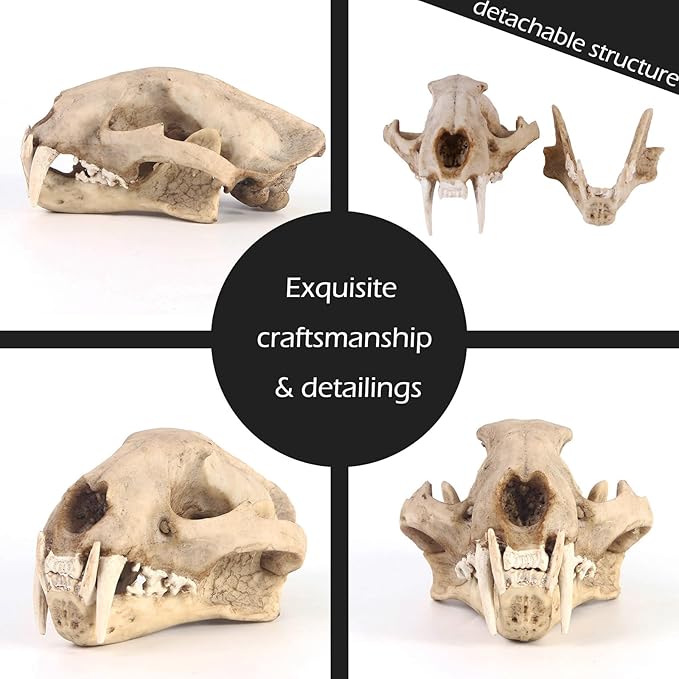 Aquarium Décor Cave Decorations Fish Hideout Betta Tarantula Reptile Snake for Terrarium Ornament Dinosaur Animal Skull Large Bones Halloween-PawvioPets