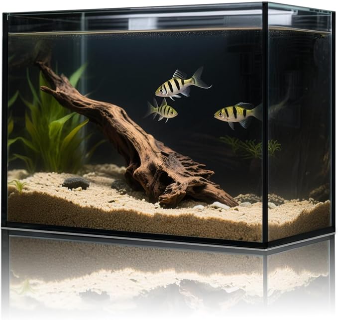 3 Gallon Glass Fish Tank Cube, Small Aquarium Fish Bowl for Betta Goldfish Snails Shrimp Aquatic Planting, Easy to Maintain Ultra Clear Rimless Design for Desktop Small Spaces-PawvioPets
