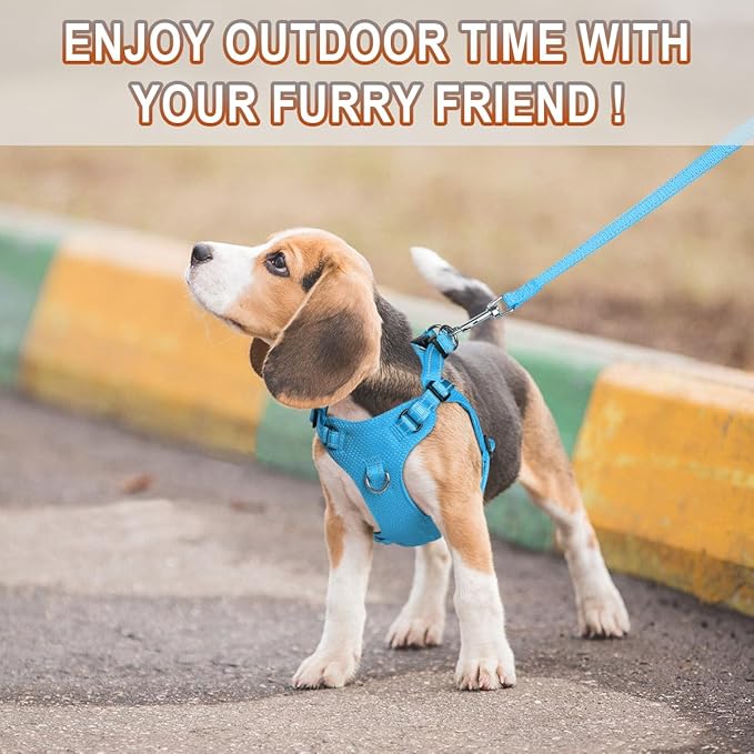 Dog Harness Step in Dog Vest Harness, Reflective Adjustable Puppy No Pull Harness Breathable Soft for Small and Medium Dogs Cats, Blue, XS-PawvioPets