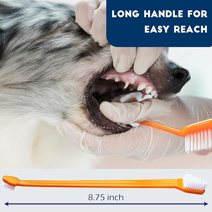 300 Pcs Dog Toothbrush Cat Tooth Brushes Bulk, Double Sided Brushing Kit, Teeth Cleaning Kit Soft Bristles Long Handle, Pet Tooth Brush for Small to Large Dog, Cat, Puppy & Kitten, 10 Colors-PawvioPets