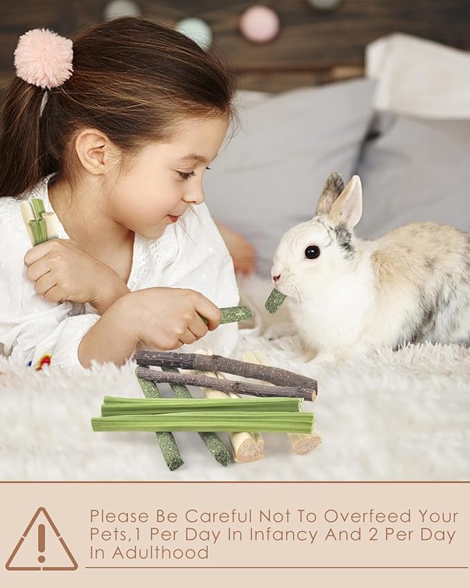 Bissap 60 PCS Rabbit Chew Sticks, Sweet Bamboo Timothy Hay Chew Stick Papaya Stems Apple Branch Bunny Chews for Rabbit Hamster Chinchilla Guinea Pig Small Pet Natural Molar Treats-PawvioPets