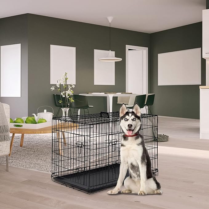 FDW Dog Crate for Large Dogs 42 Inch Folding Metal WirePet Cage Double Door W/Divider Panel Indoor Outdoor Kennel Leak-Proof Plastic Tray,Black-PawvioPets