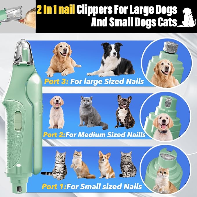 2 in 1 Dog Nail Clippers and Grinder with Lights & Cat Nail Clipper for Large Medium Small Dogs Cats Nail Trimmers USB Rechargeable with 2 LED Lights Dog Claw Care for Non-Black Nails-PawvioPets