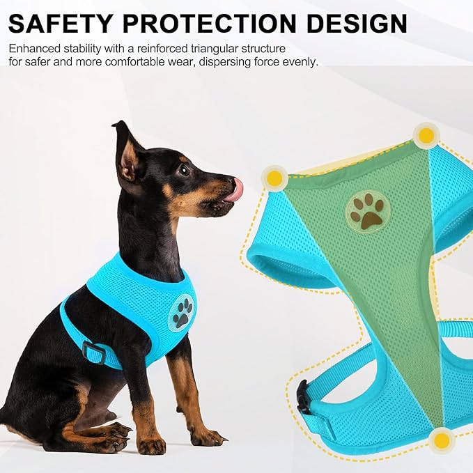 BINGPET No Pull Dog Harness, Soft Mesh Breathable All Weather Vest, Safety Protection Design, Durable Adjustable Step-in Easy Walk Dog Harness for Small Medium Large Dogs (Royal Blue, S)-PawvioPets