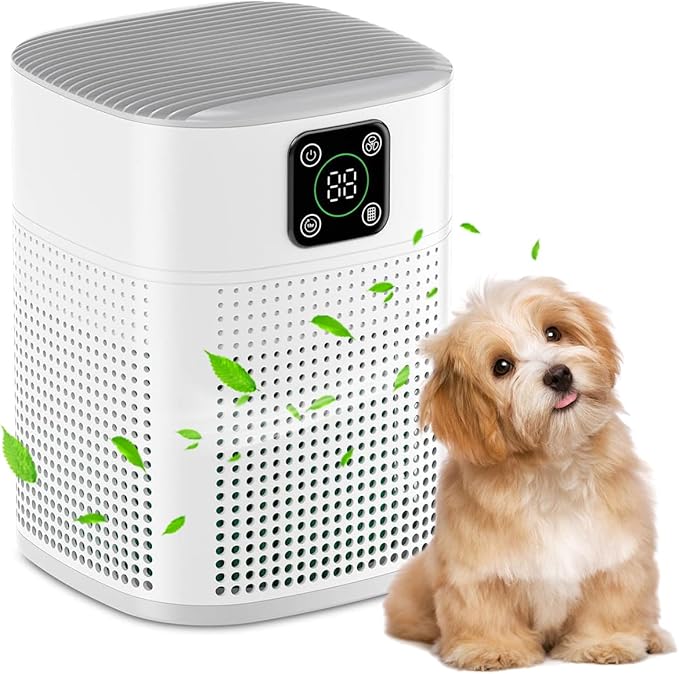 Air Purifiers for Bedroom, Honeyuan H13 HEPA Air Purifier for Home Large Room 600 sqft, Air purifiers with 360°Air Intake, 3 Fan Speeds, 3-Stage Filtration, White-PawvioPets