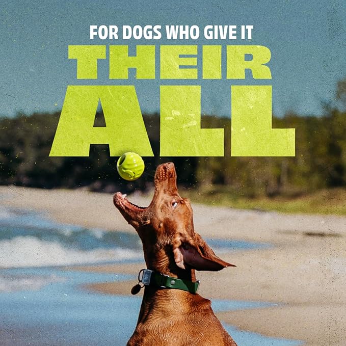 Benebone Dog Ball, Natural Rubber-PawvioPets