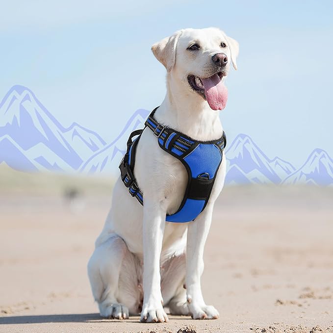 Eagloo Dog Harness for Large Dogs, No Pull Service Vest with Reflective Strips and Control Handle, Adjustable and Comfortable for Easy Walking, No Choke Pet Harness with 2 Metal Rings, Blue, L-PawvioPets