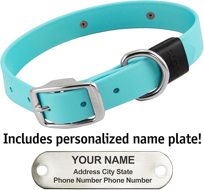 Biothane Custom Dog Collar – Waterproof, Stink-Proof Personalized Collar with Name & Phone Number – Durable, Many Sizes and Colors – Assembled in USA (Sky Blue)-PawvioPets