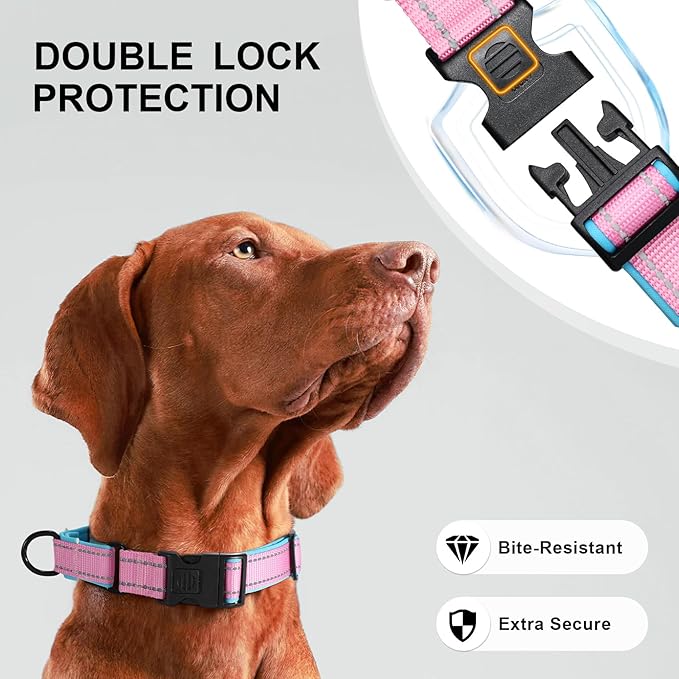 Airtag Dog Collar with Martingale Design, IP68 Waterproof Air Tag Collar Holder, Adjustable Reflective Soft Padded Nylon Dog Collar for Large Medium Small Dogs-PawvioPets