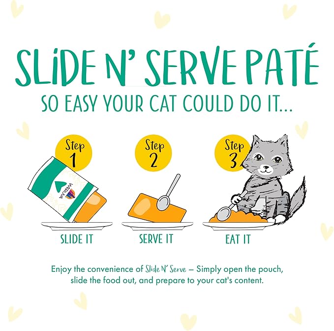 B.F.F. PLAY - Best Feline Friend Paté Lovers, Aw Yeah!, Chicken & Turkey Tiptoe with Chicken & Turkey, 3oz Pouch (Pack of 12)-PawvioPets