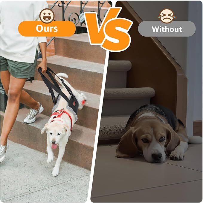 Adjustable Dog Lift Harness, Dog Sling for Large Dogs Hind Leg Support, Soft Lift Support Helps Senior, Injured, Disabled and After ACL Surgery Dogs-Black & Grey (Medium)-PawvioPets