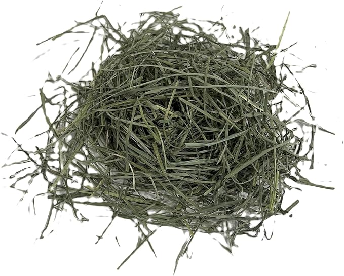 Blue Mountain Hay High-Altitude Teff Grass Hay, 50lb Easy Flake Box - Low NSC & High Fiber for Easy Digestion and Weight Management - Ideal for Horses, Goats, Rabbits, Guinea Pigs & Other Small Pets-PawvioPets