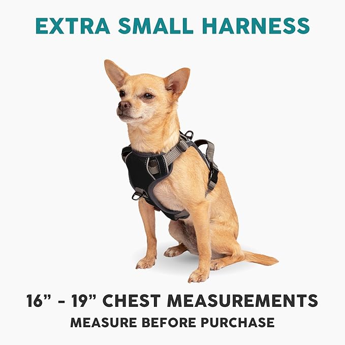 Embark Adventure Dog Harness, No-Pull Reflective Trim Dog Harness for Small, Medium & Large Dogs - Military Grade Nylon, 2 Leash Clips & Gel Lined Handle. Soft & Padded Puppy Dog Vest for Any Breed-PawvioPets