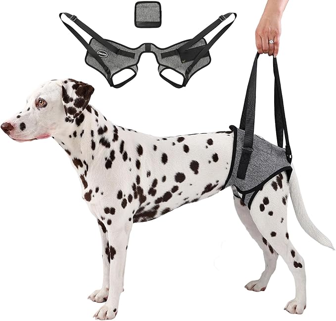 Dog Sling for Medium Large Dog Rear Leg, Lift Harness Provide Support with Muscle Atrophy and Joint Problems for Elderly Injured Arthritic Pet, Dog Weak Rear Legs Provides Rehabilitation Aid-PawvioPets