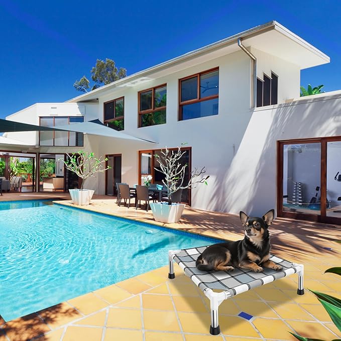 Elevated Outdoor Raised Dog Bed Outdoor Dogs Bed Lifted Pet Bed Dog Cot for Pet Taste Life, Start with A Pet Bed 20'' x 20'' x 6.5''-PawvioPets