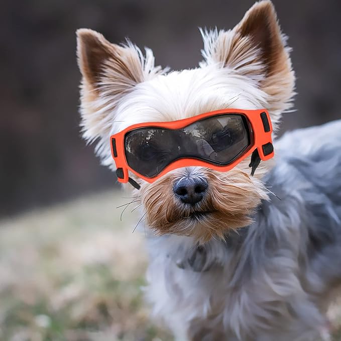 Dog Goggles Dog Sunglasses for Small Breed UV Protection Windproof with Adjustable Head Straps Chin Straps for Ride Car/Hiking Travel/On Beach-Orange-PawvioPets