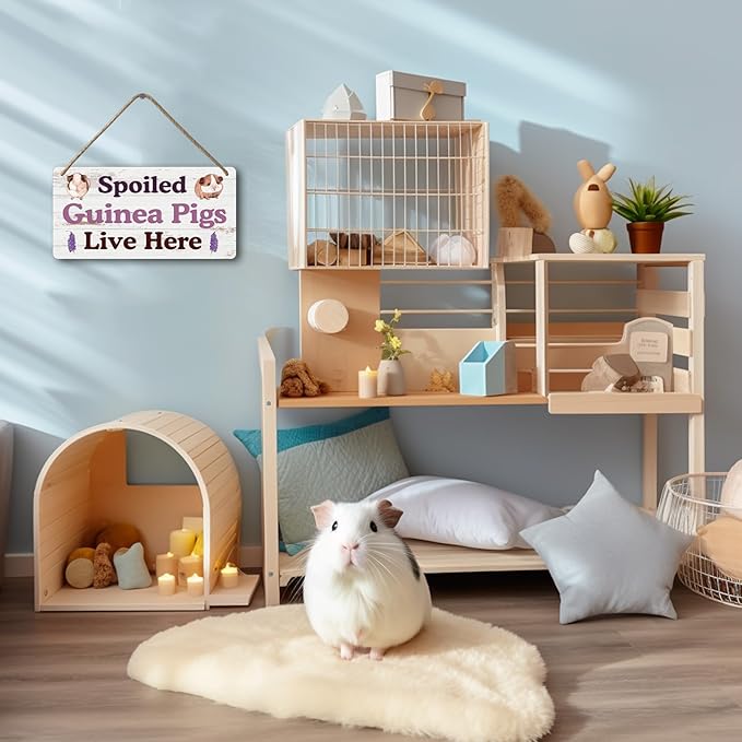 Big Hamster Ball & Guinea Pig Hideout - Stuffed Animals & Accessories for Guinea Pig Cage - 12x6 In Wooden Sign-PawvioPets