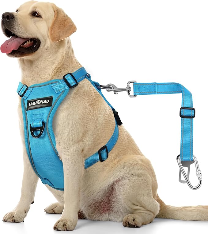 Dog Seat Belt Harness for Car, Dog Car Harness Adjustable Mesh Breathable & Dogs Seatbelt Safety Tether with Elastic Bungee for Small Medium Large Pets(Blue, L)-PawvioPets