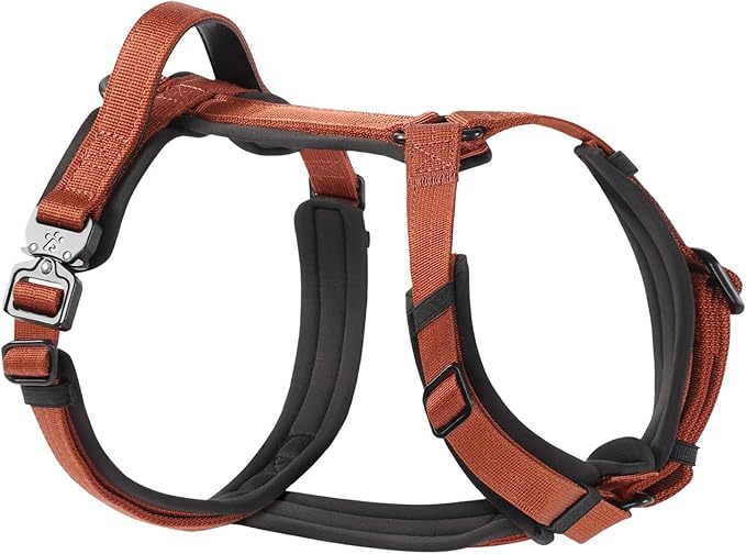 CLEPAWS Dog Harness for Small Dogs, No Pull Dog Harness Easy Walk with Metal Hardware, Ergonomic Y-Shaped Design, Soft Padding, Padded Handle, Durable High-Tensile Nylon (Canyon Red, S)-PawvioPets