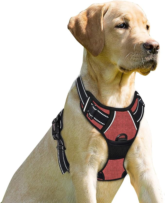 BARKBAY No Pull Dog Harness Front Clip Heavy Duty Reflective Easy Control Handle for Large Dog Walking(Rio Red,M)-PawvioPets
