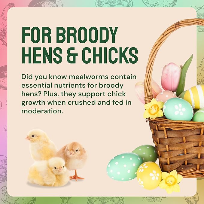 Bulk Dried Mealworms - 10 Lb Bag - Non-GMO Dried Mealworms for Chickens, Ducks & Wild Birds - High-Protein Chicken Feed & Bird Food-PawvioPets