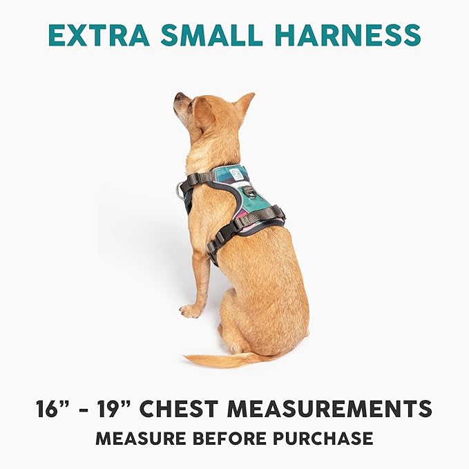 Embark Adventure Dog Harness, No-Pull Reflective Trim Dog Harness for Small, Medium & Large Dogs - Heavy Duty Oxford, 2 Leash Clips & Gel Lined Handle. Soft & Padded Puppy Dog Vest for Any Breed-PawvioPets