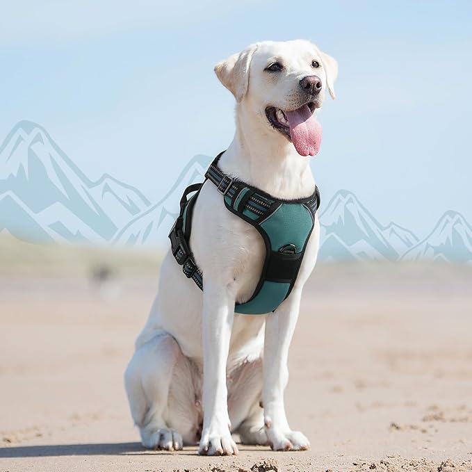 Eagloo Dog Harness for Large Dogs, No Pull Service Vest with Reflective Strips and Control Handle, Adjustable and Comfortable for Easy Walking, No Choke Pet Harness with 2 Metal Rings, Dark Green, L-PawvioPets