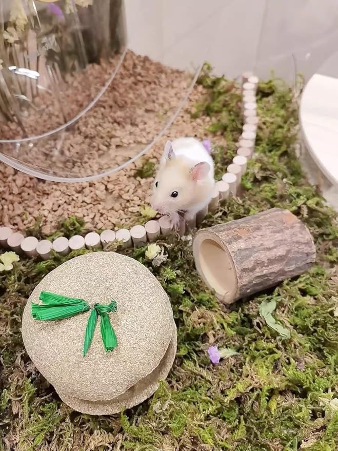 5L Forest Moss for Hamster Syrian Gerbils Bedding, Natural Moss Perfect for Potted Plants, Terrariums, Reptile Tanks and Live Creature Projects-PawvioPets