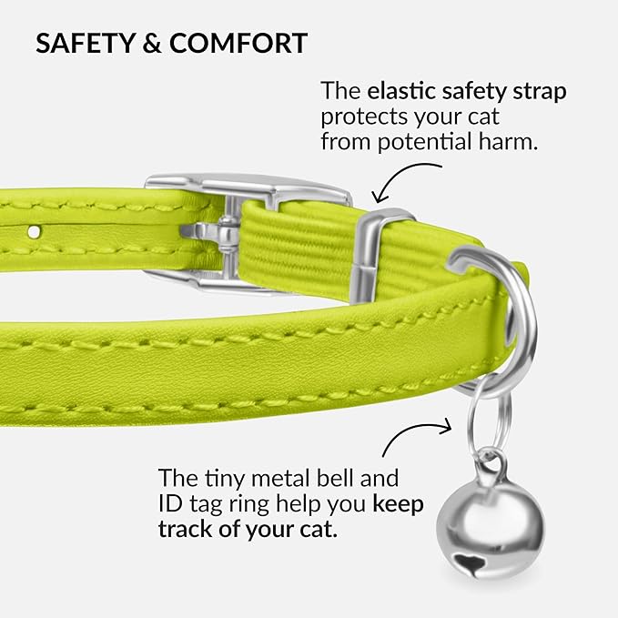 CollarDirect Leather Cat Collar with Bell - Kitten Collar, Small and Big Cat Collar for Boy Cats, Girl Cats with Safety Elastic Strap (Neck Fit 8"-11", Lime Green)-PawvioPets