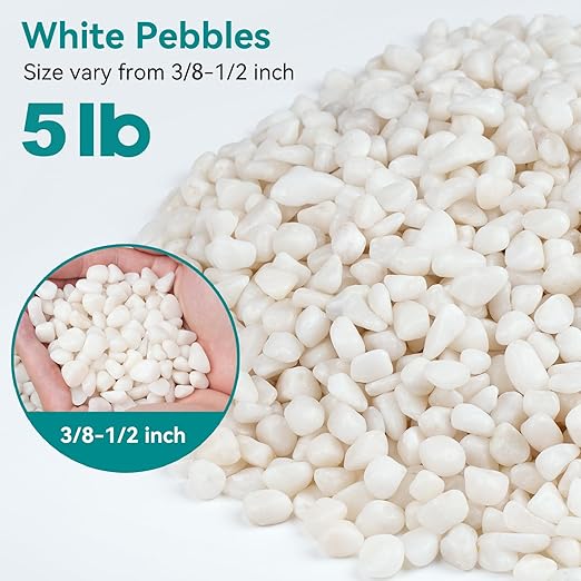 5 lbs Small White Rocks for Planters, 3/8" White Pebbles for Vases, Decorative Small Stones for Plants, Succulents, Bamboo, Terrarium, Landscape, Garden-PawvioPets