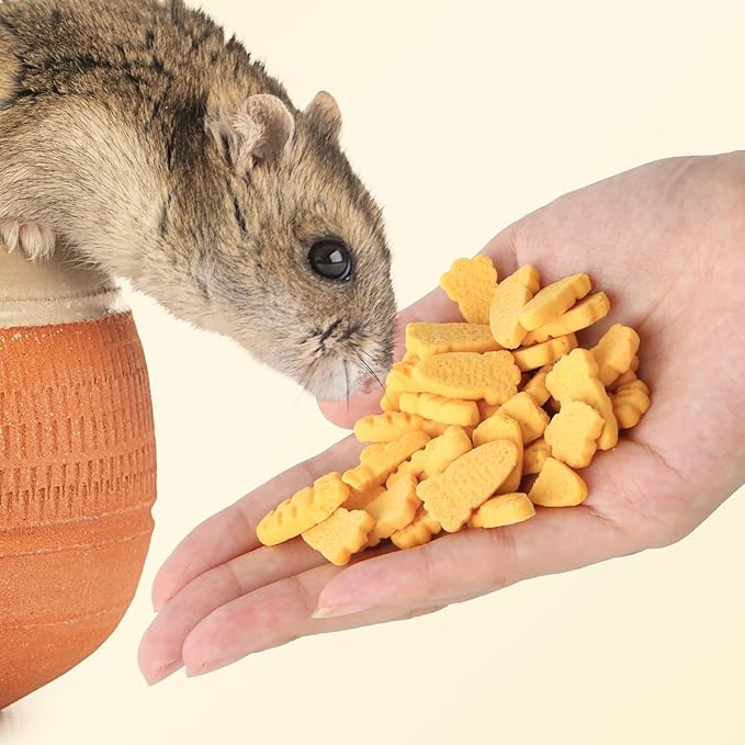 Abizoo Hamster & Gerbil Treats, Crunchy Baked Hamster Snacks with Carrot and Yeast, Natural Training Reward Chew Treats for Small Animals, Supports Digestion and Dental Health-PawvioPets