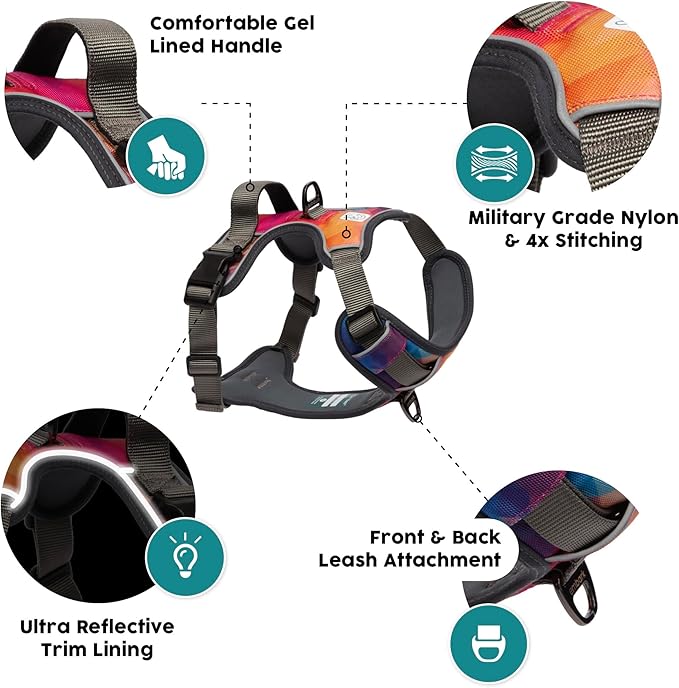 Embark Adventure Dog Harness, No-Pull Reflective Trim Dog Harness for Small, Medium & Large Dogs - Heavy Duty Oxford, 2 Leash Clips & Gel Lined Handle. Soft & Padded Puppy Dog Vest for Any Breed-PawvioPets