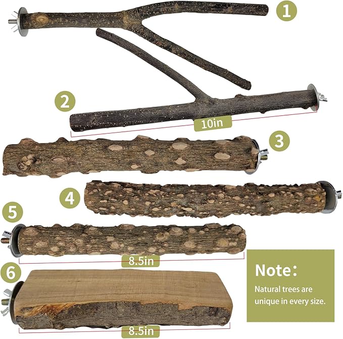 Bird Toys, Natural Parrot Toys for Small Macaws, Budgies, Lovebirds, Finches, Small and Medium Sized Birds Peppercorn Wood Apple Tree Perch Wood Set-PawvioPets