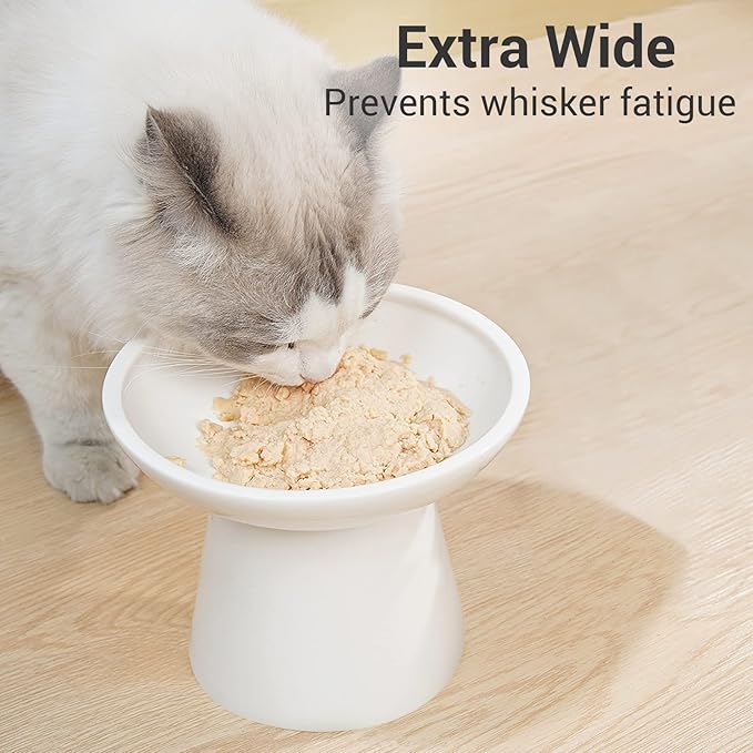 Extra Wide Elevated Ceramic Cat Bowl - 6.2" Shallow Dish for Whisker Fatigue Relief, 5" Height for Easy Feeding, Lead & Cadmium Free, Durable Raised Cat Food Bowls, White-PawvioPets