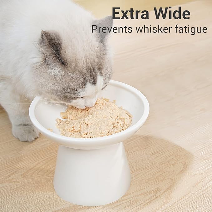 Extra Wide Elevated Ceramic Cat Bowl, 6.2" Shallow Dish for Whisker Fatigue Relief, 5" Height for Easy Feeding, Durable Raised Cat Food Bowls, Pack of 2, White-PawvioPets