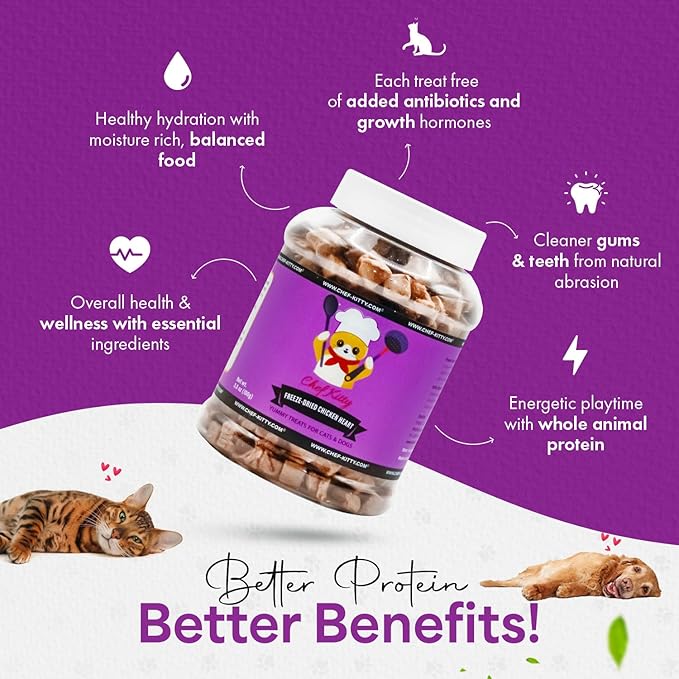 Freeze-Dried Chicken Heart Treats for Cats & Dogs – 100% Human Grade, Single Ingredient, High-Protein, Healthy Snack – No Additives or Preservatives – 2.6oz - Inspected & Tested in USA-PawvioPets