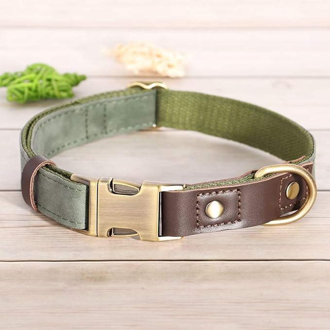 Didog Soft PU Leather Dog Collars for Small Dogs,Classic Adjustable Dog Collars with Quick Release Metal Buckle,Easy Clean and Comfortable with Nylon Lining,Green,S Neck 10-15"-PawvioPets
