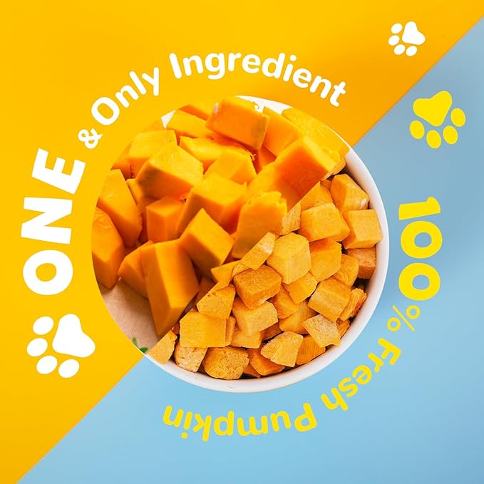Freeze-Dried Pumpkin Treats for Dogs & Cats – High Fiber, Single Ingredient Natural Snacks for Digestion & Gut Health, Healthy Food Toppers, 1.58 oz-PawvioPets