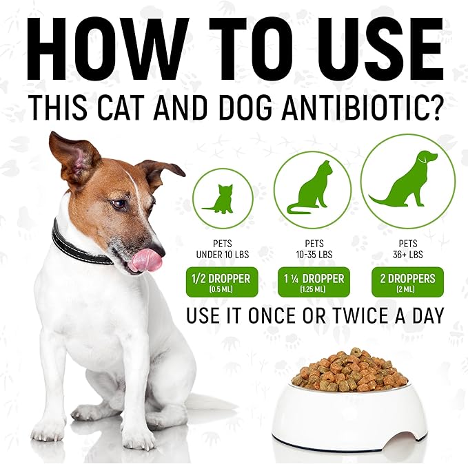 Antibiotics for Dogs | Antibiotics for Cats | Herbal Supplement for Digestion, Breathing, Urination | for Infections, Cough, Allergies | Beef Flavor & Cranberry | for All Pet Breeds | 2 Oz-PawvioPets