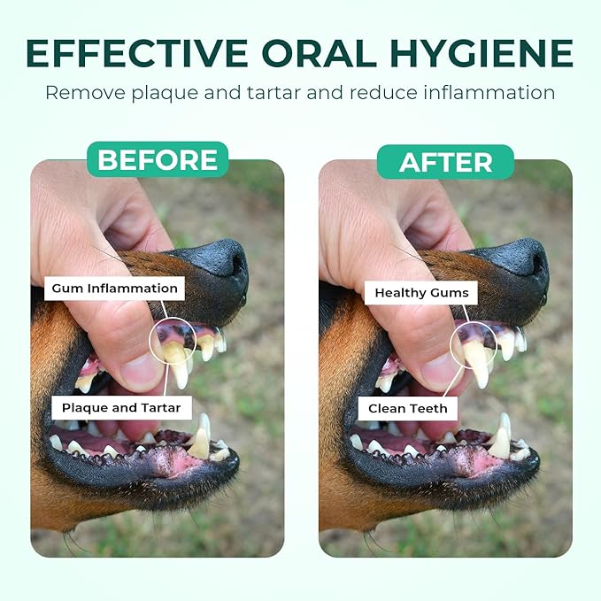 Dog Teeth Cleaning Wipes 50 Pack, Reduces Plaque and Freshens Breath, Dog Dental Wipes Dog Tooth Brushing Kit, No-Rinse Dog Toothbrush Finger Wipes Dental Care for Dogs Cats-PawvioPets