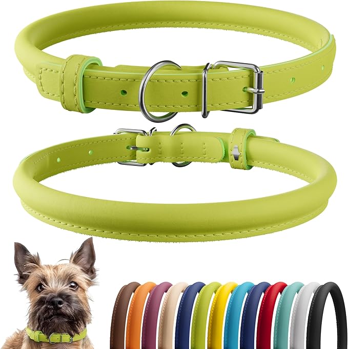CollarDirect Rolled Leather Dog Collar, Soft Padded Round Puppy Collar, Handmade Genuine Leather Collar Dog Small Large Cat Collars 13 Colors (8-11 Inch, Lime Green Smooth)-PawvioPets