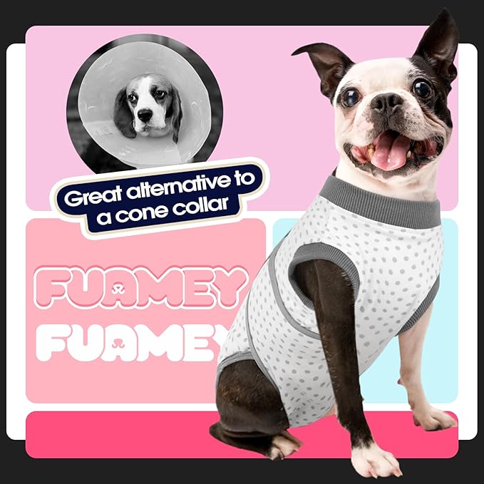 FUAMEY Dog Recovery Suit Male,Dogs Surgery Neuter Suits Puppy Spay Shirts for Female Protect Dog's Skin Anti Licking Abdominal Wounds Doggie Onesie Pet Bodysuit Alternative to Cone Polka Dot XS-PawvioPets