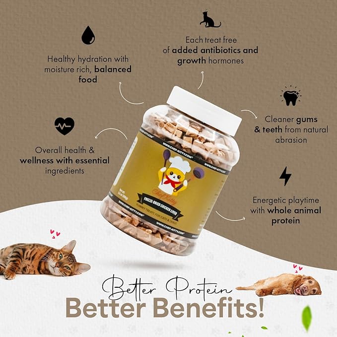 Freeze-Dried Chicken Liver Treats for Cats & Dogs – 100% Human Grade, Single Ingredient, High-Protein, Healthy Snack – No Additives or Preservatives – 3.1oz - Inspected & Tested in USA-PawvioPets