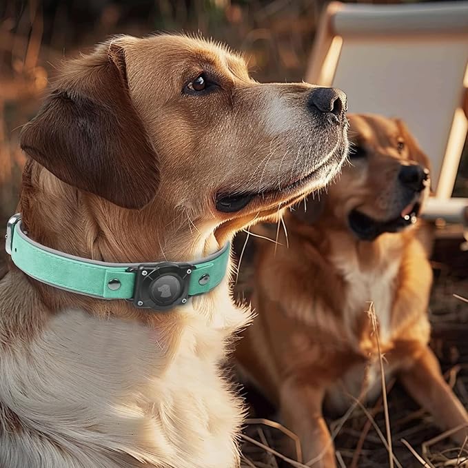 AirTag Dog Collar - Leather Dog Collar with Air Tag Holder | IPX8 Waterproof, Reflective, High - End, Adjustable Soft Padded | Dog GPS Tracker Collars Fit for Medium Large Dogs (Teal, M)-PawvioPets